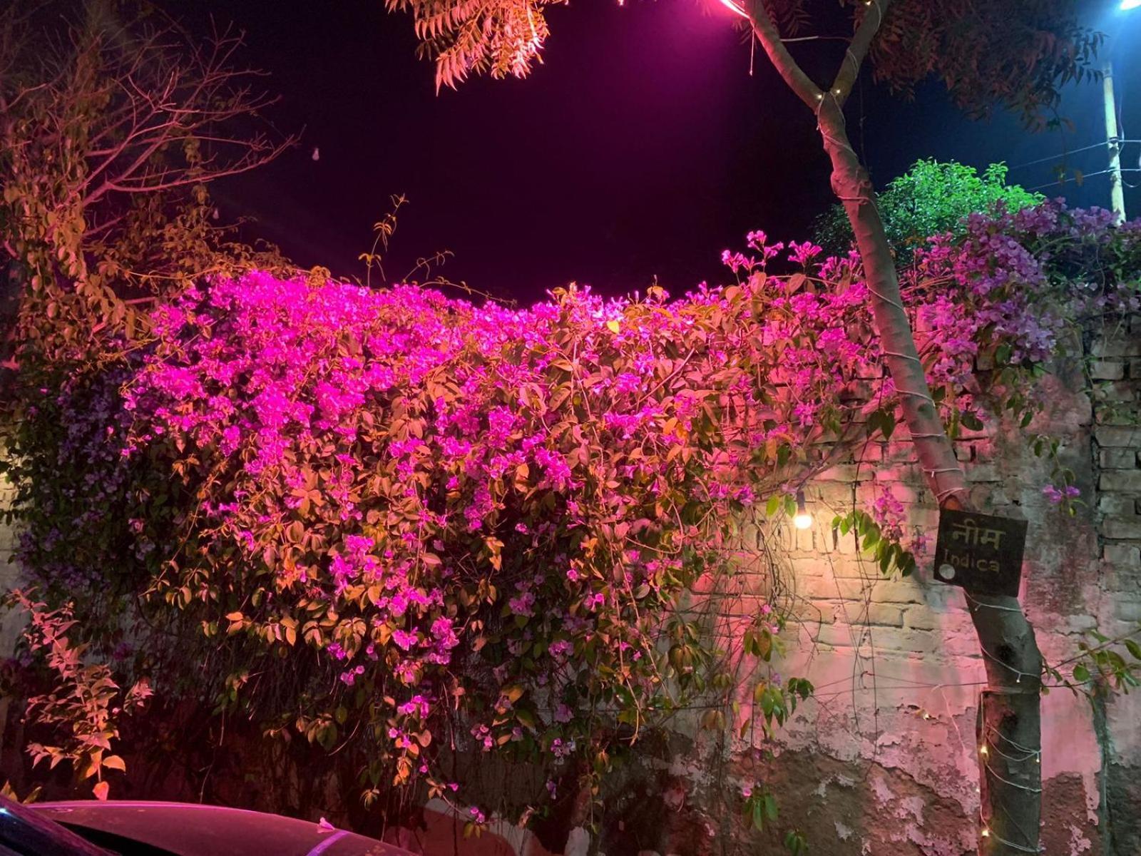 Nature Resort Agra  Eksteriør bilde