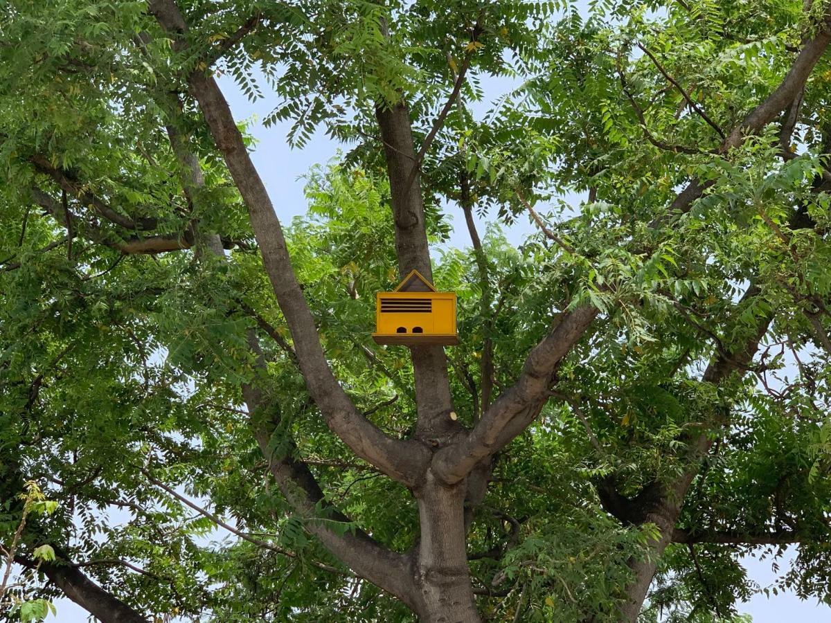 Nature Resort Agra  Eksteriør bilde